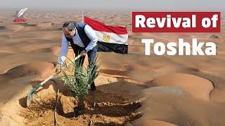 Why did Egypt revive the Toshka Project after it stopped in Mubarak era