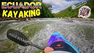 Ecuador Kayaking "Multi River Sections"