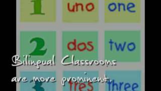 The Levels Of Multicultural Education