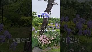 친구에게 보내는 영상편지, 굿모닝! #garden #flowers #5월