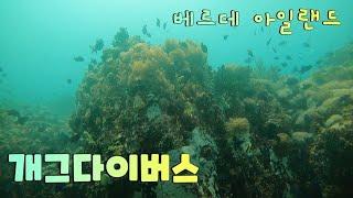 사방비치 베르데 스쿠버 다이빙. GAG DIVERs SCUBA TEAM.