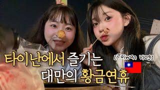  타이난에서 대만 연휴보내기 【 대만04 】 [中文] Taiwan vlogㅣ타이난ㅣ화원야시장 ㅣ타이난필수코스ㅣ대만여행브이로그ㅣ션농지에ㅣ대만여행ㅣ타이베이에서 타이난 이동ㅣ오원