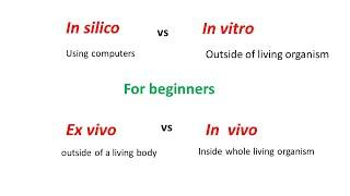 In silico vs In Vitro vs Ex Vivo vs In Vivo experiments