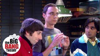 Sheldon Was Wrong About the Cricket | The Big Bang Theory