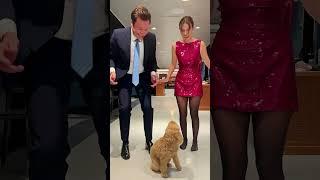 Millie Bobby Brown New Interview With Jimmy @fallontonight #milliebobbybrown #shorts #trending