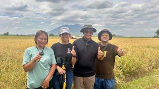 U.S. Based Former Executive, First Time mag Rice Farming sa Pinas, Success kaya Harvest nya?