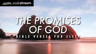 The Promises of God | Bible Verses For Sleep