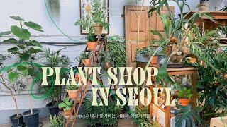 Plant shop in Seoul. 내가 좋아하는 서울의 식물가게 소개하는 브이로그