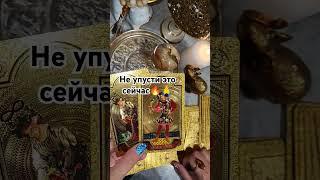 Жду тебя в Телеграм Светлана Солнышко Таро#таролог #таро #tarot #тарорасклад #тароонлайн #гадание