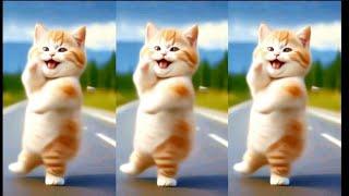 Cat videos funny dance Videos for catsv#funnycats #dancingcat #catlovers  @furry-cornerz