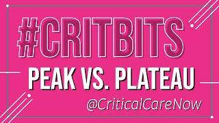 What is the differences between peak pressure and plateau pressure?