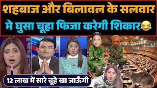 Pakistani parliament में चूहों का खेल  pak की no.1 anchor Fiza करेगी चूहों का शिकार ।