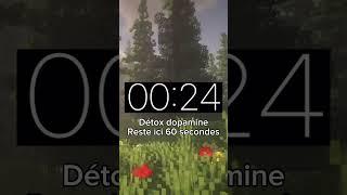 Detox dopamine minecraft