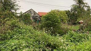 SURPRISED when our Group Cleared the Abandoned house, the Garden was full of Weeds | Clean up inspi