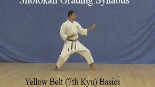 Yellow Belt 7th kyu Shotokan Karate Syllabus Basics