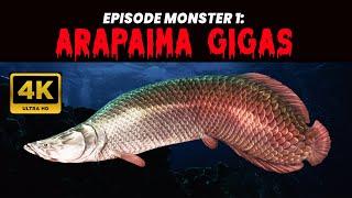 IKAN ARAPAIMA GIGAS, SI MONSTER AIR TAWAR AMAZON YANG TERLARANG! 4K