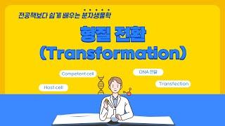 [A06] 형질 전환(Transformation)에 대해서 알아보아요!