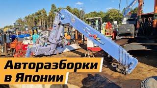 Японские разборки спецтехники.Выбираю лучшее.