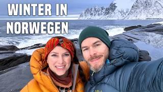 Norwegen: Senja Tagesausflug von Tromsø + alle Highlights im Winter