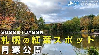 【札幌の紅葉スポット】豊平区美園『月寒公園』｜札幌移住者のぶらぶら散歩