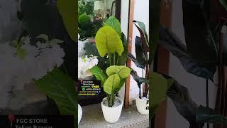 beautiful home decoration artificial plants #shorts