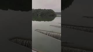 Randenigala dam water release| in dam | Sri Lanka