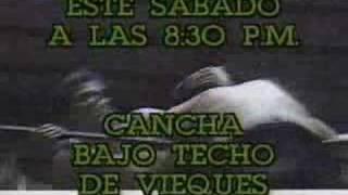 promo WWC 1993