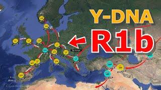 How did the Y-DNA Haplogroup R1b become European(Human Migration)?