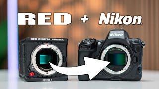 Did Nikon Just Unlock Red's Color Science For Free?!