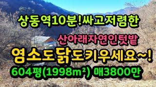 밀양 자연인 아지트 산자락텃밭~염소도 닭도 키우세요 매3800만