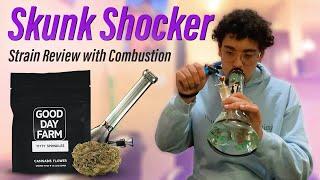 Skunk Shocker 15 | Louisiana Medical Marijuana Review | Combustion