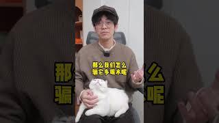 骗猫喝水的方法