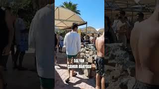 Dalyan Çamur Banyosu #shorts #short #youtubeshorts #viral #video #keşfet #viralvideo #vlog