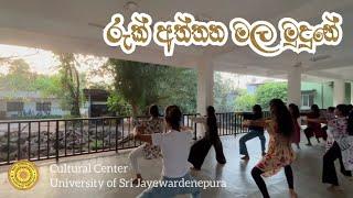 Ruk Aththana Mala Mudune | රුක් අත්තන මල මුදුනේ | Kandyan Dance Experiment | Japura Cultural Center