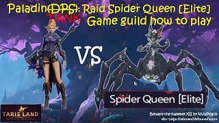 Paladin(Tank) : Raid Spider Queen [Elite] & Guide how to play | Tarisland