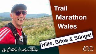 Running Coed y Brenin: Can I Make it Through Trail Marathon Wales?