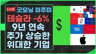 [굿모닝 미주미]  테슬라  -6% ,  9년 연속 주가 상승한 위대한  그 기업은?    #이항영 #미주미