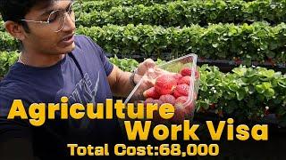 Agriculture work visa New Zealand | Seasonal Work Visa | BM Maniya