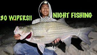 The Most INSANE Night of Fishing EVER! Wipers, Walleye, & Catfish