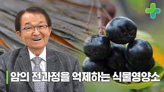 암의 전과정을 억제하는 식물영양소