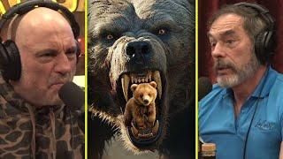 Joe Reveals A Very Disturbing Fact About Grizzly Bears