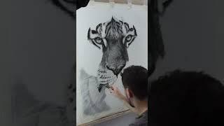 Hyperrealistic Tiger Drawing in Charcoal