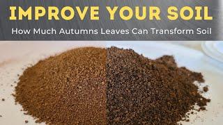 Massive Soil Improvement Using Leaf Mulch