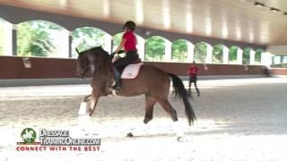 Dressage training with Catherine Haddad on training up the young horse