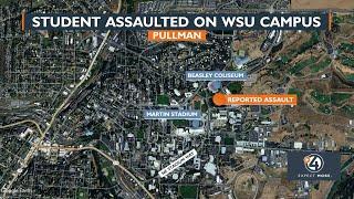 Student assaulted on WSU campus