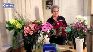 Arrive Alive by Chrysal vs. Water Tubes | The Ultimate Solution for Flower Transportation