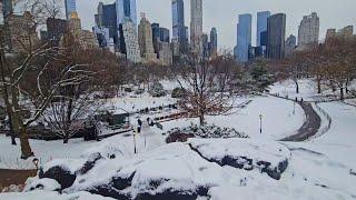 The Beauty of Snow in Central Park Nyc kala'svlog