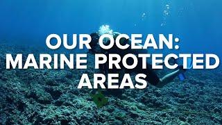 OUR OCEAN: MARINE PROTECTED AREAS - Ocean Conservation #3 | Conservation International Singapore