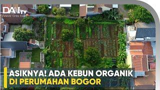 Kebun Organik Hadir di Perumahan Bogor