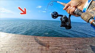 This Pier Catch Will Make Some People Angry! Oops!